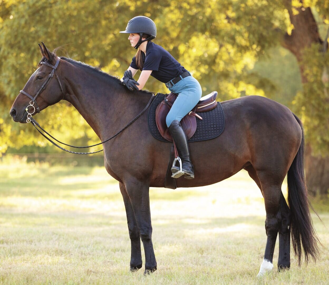 Equestrian rider on horseback at Drake Ranch in the heart of Ocala horse country
